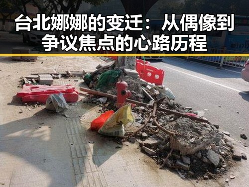 台北娜娜的变迁：从偶像到争议焦点的心路历程