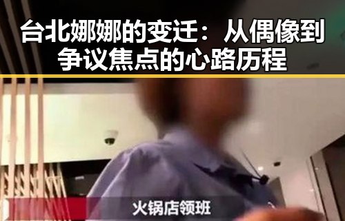 台北娜娜的变迁：从偶像到争议焦点的心路历程