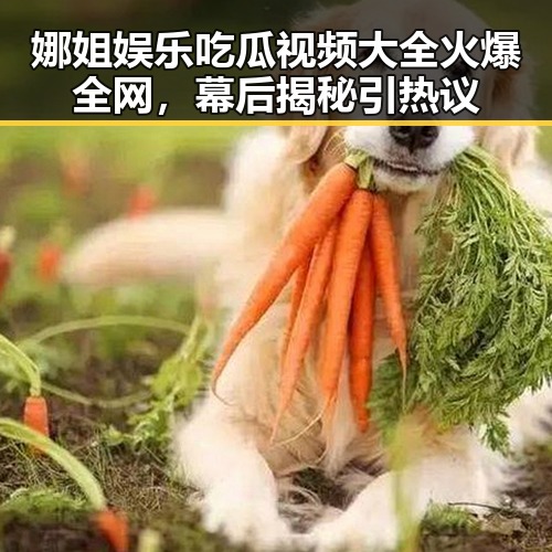娜姐娱乐吃瓜视频大全火爆全网，幕后揭秘引热议