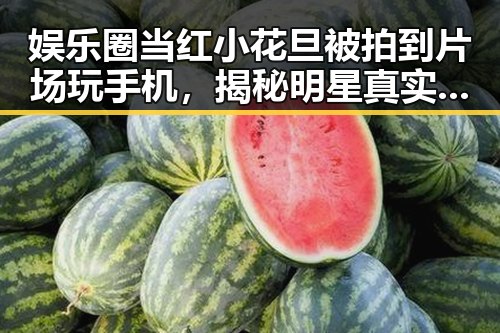 娱乐圈当红小花旦被拍到片场玩手机，揭秘明星真实生活时间线