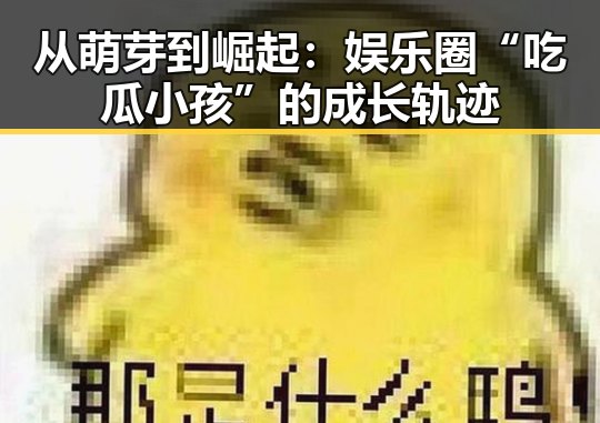 从萌芽到崛起：娱乐圈“吃瓜小孩”的成长轨迹